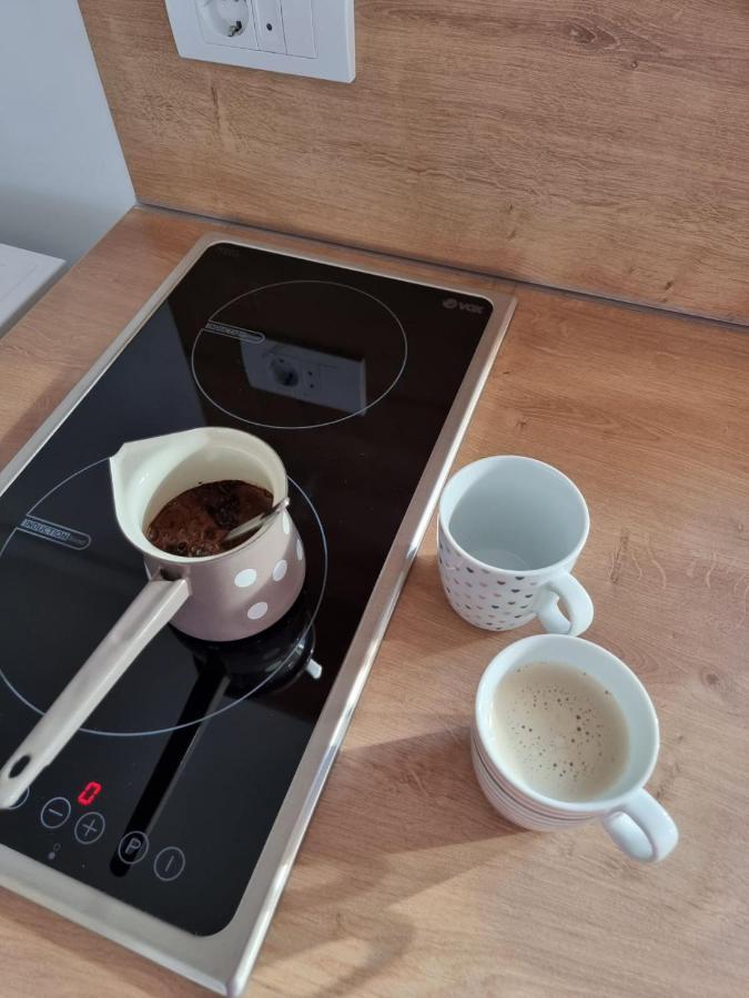 As Apartman 2 Vrsac Dış mekan fotoğraf
