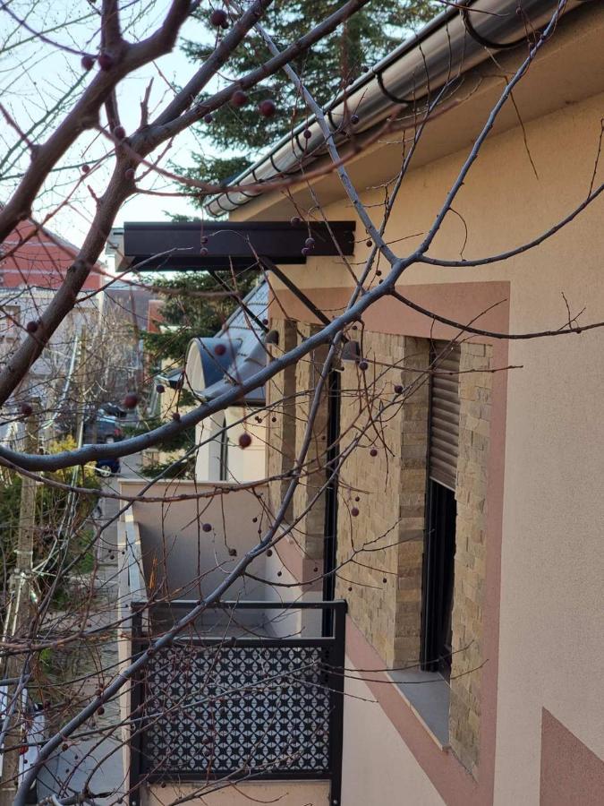 As Apartman 2 Vrsac Dış mekan fotoğraf