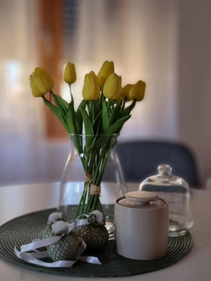 As Apartman 2 Vrsac Dış mekan fotoğraf